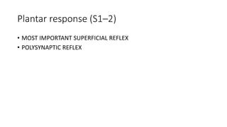 Plantar reflex | PPT