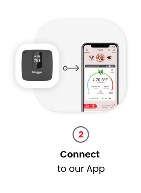 How Waggle Works