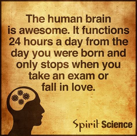 The Human Brain is awesome. It functions 24 hours a day from the day ...