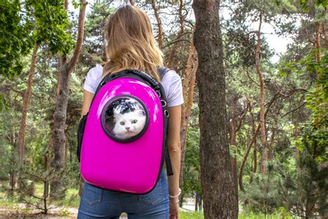 The 6 Best Cat Backpacks Of 2020 | Reviews & Guides