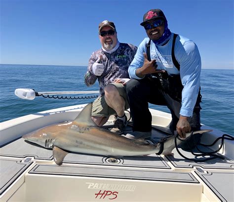 Shark Fishing in Destin Florida | Environmental Impact