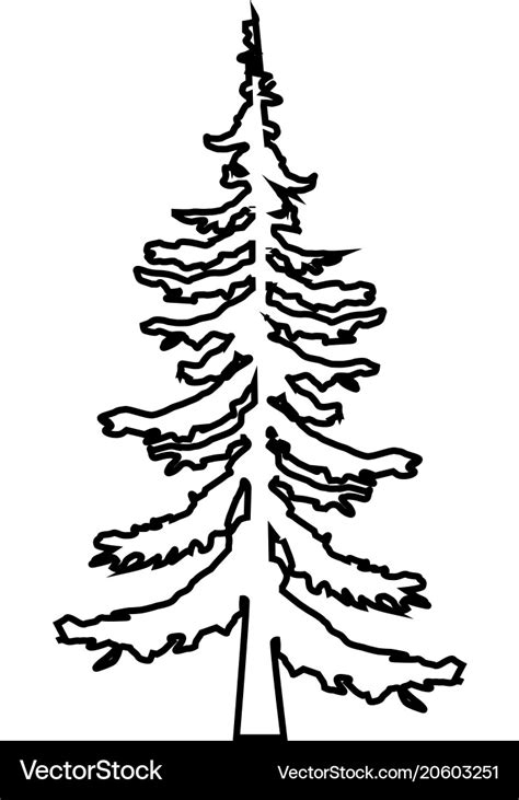 Fir-tree pine tree line icon outline Royalty Free Vector