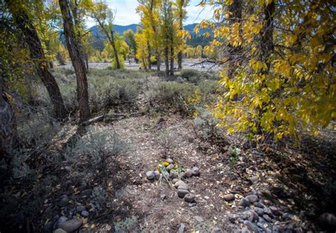 Harrowing Gabby Petito crime scene photos from camp where she was found dead revealed as autopsy ...