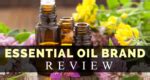 The 15 Best Essential Oil Brands - Top Picks & Reviews