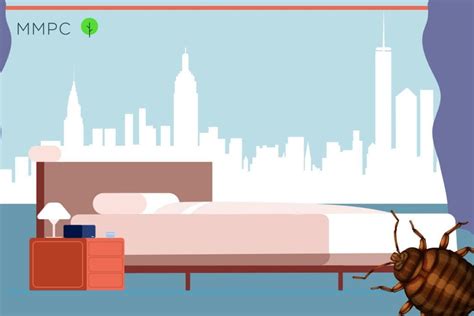 NYC Pest Control Guide: Bed Bugs