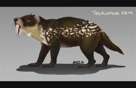 Thylacosmilus atrox by akvz on DeviantArt