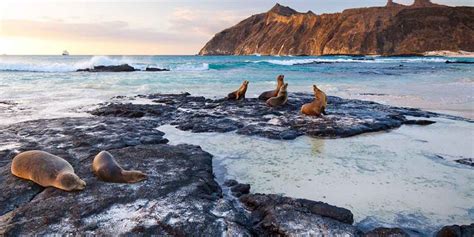 San Cristóbal Island, Galápagos, Ecuador. Things to do. Animals ...