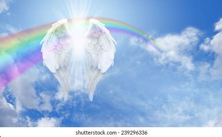 53 Right Side Angel Wing Images, Stock Photos, 3D objects, & Vectors ...