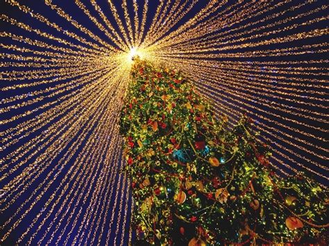 Christmas Tree Lightings, Celebrations In Gwinnett County 2020 ...