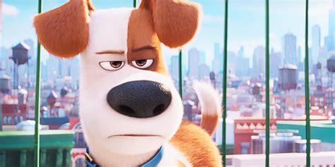 The Secret Life of Pets 3 | Release Date, Cast, Trailer, Poll & More!