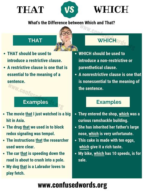 THAT vs WHICH: Difference between Which vs That (with Useful Examples ...