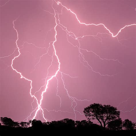 Top 49+ imagen biggest lightning strike - abzlocal fi