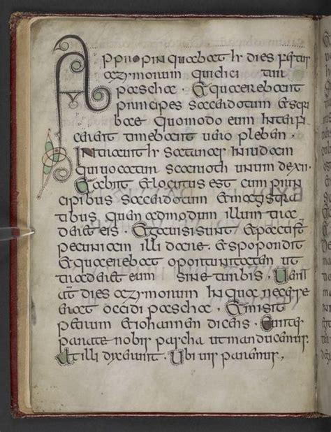 Elves and Anglo-Saxon Manuscripts - Medieval manuscripts blog