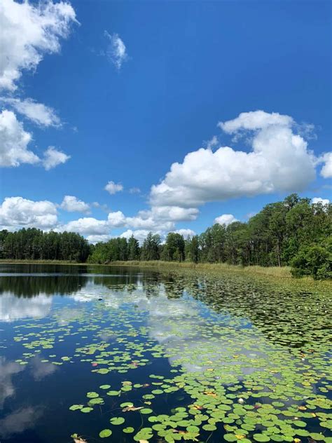 Lake Louisa State Park - Florida on Foot