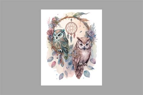 Feather and Owl Graphic by NB_PHOTOGRAPH · Creative Fabrica