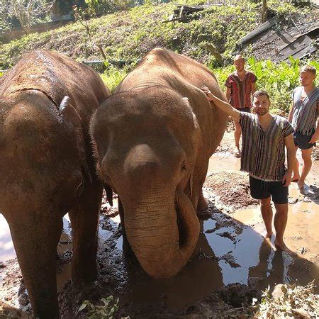 Chiangmai Elephant Sanctuary (Chiang Mai) - 2019 All You Need to Know BEFORE You Go (with Photos ...