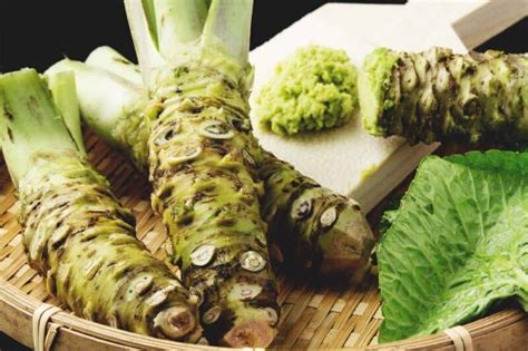 Growing Wasabi: Best Varieties, Planting Guide, Care, Problems and Harvest