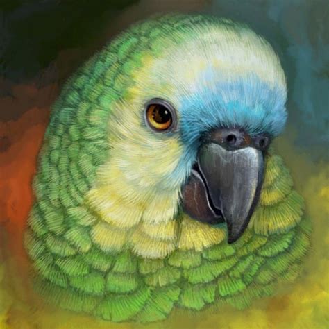 Amazon parrot close up portrait with yellow and green feathers and blue accents. Bird Painting ...