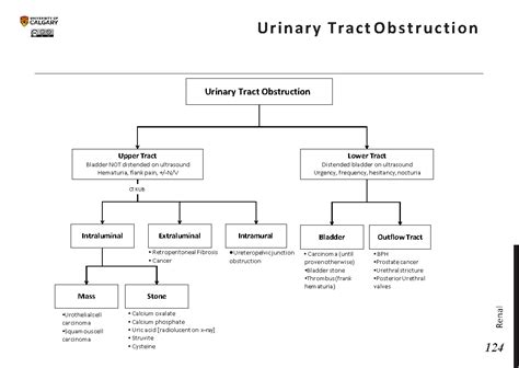 URINARY TRACT OBSTRUCTION - Blackbook : Blackbook