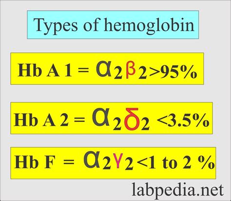 Hemoglobin: - Part 1 - Hemoglobin (Hb) structure and Functions - Labpedia.net