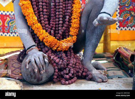 India, Uttar Pradesh, Allahabad, Sangam, Kumbh Mela festival in ...