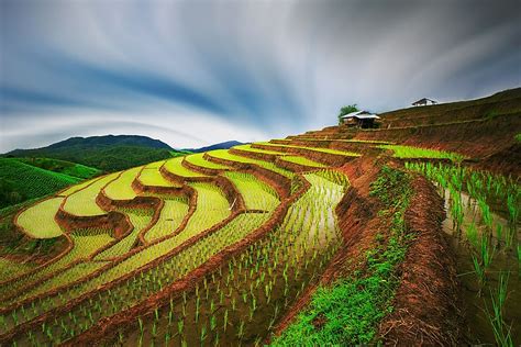 The Awe-Inspiring Beauty of Rice Terraces - WorldAtlas