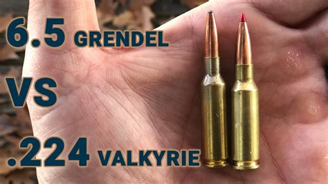 Ammo showdown: 6.5 Grendel vs .224 Valkyrie - YouTube