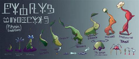 Hypothetical pikmin evolution and lore chart (art by me :>) : Pikmin