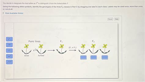 Solved You decide to designate the twist allele as FT ﻿to | Chegg.com