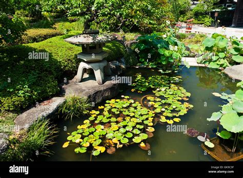 park garden japanese Stock Photo - Alamy