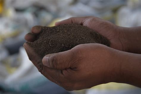 Ex-seminarian finds success in farming as an enterprise