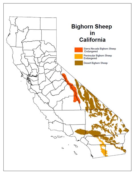 Peninsular Desert Bighorn Sheep Distribution