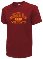 Mountain View High School Wildcats Alumni - Stafford, Virginia