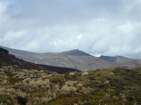 Cinturón Andino Biosphere Reserve: Cueva de los Guácharos, Nevado del ...