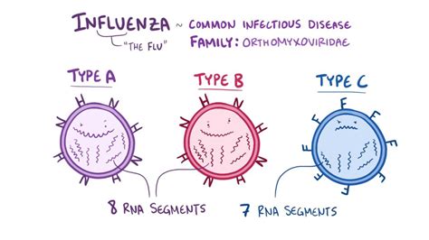 Influenza Virus Image