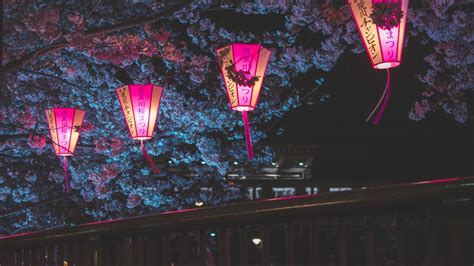 1366x768 Japan Night Cherry Blossom Trees Lantern Glowing Night Laptop HD ,HD 4k Wallpapers ...