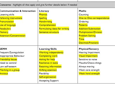 SEN Concern Form | Teaching Resources