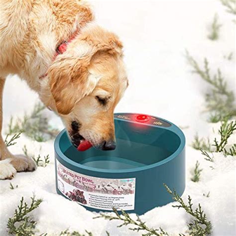 Best Heated Dog Bowl For Chickens