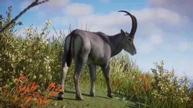 Bluebuck - Extinct New Species (1.16) at Planet Zoo Nexus - Mods and community