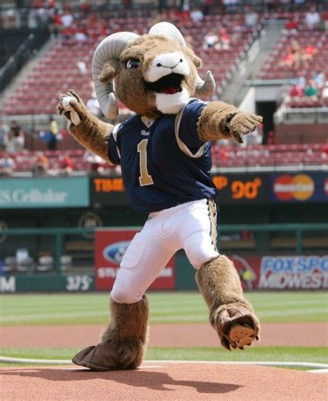 St. Louis Rams Mascot: Rampage | My New Home St.Louis,Mo. | Pinterest