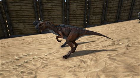 Image - ARK-Oviraptor Screenshot 003.jpg | ARK: Survival Evolved Wiki | FANDOM powered by Wikia