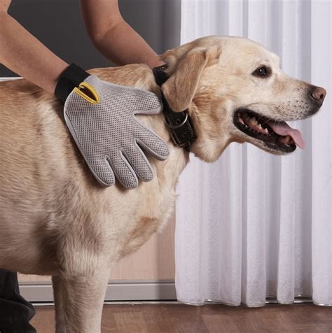 The Best Dog Grooming Gloves for Brushing Away That Extra Fur