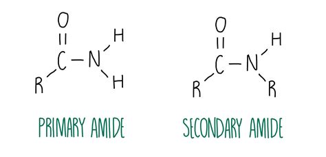 Amine Vs Amide Structure