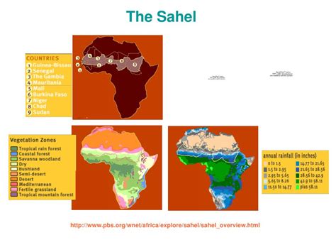 PPT - Climate Change in the Sahel PowerPoint Presentation, free ...