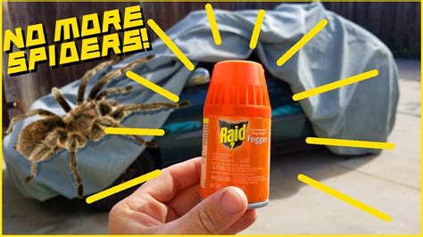 Can You Use A Bed Bug Fogger In Your Car - PestPhobia