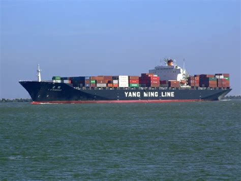 YANG MING MARINE CONTAINER TRACKING - Wroc?awski Informator Internetowy - Wroc?aw, Wroclaw ...