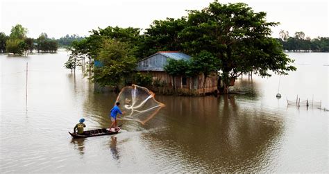 Dong Thap Province | Vietnam travel, Mekong delta, Travel experience