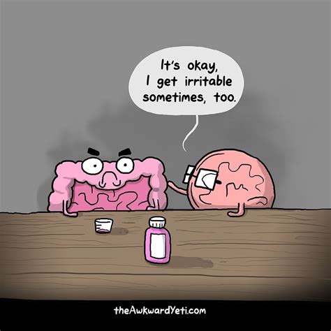 Pin by Sheri Tanner on The Awkward Yeti | Awkward yeti, Funny comics, Heart and brain comic