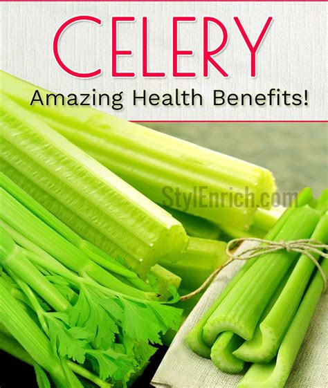 Health Benefits of Celery : A Superhero of Health Food