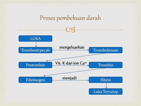 PPT SIstem Imunitas / Sistem Kekebalan Tubuh